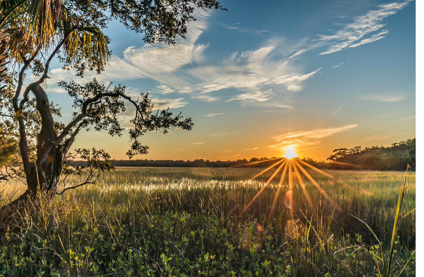 Lowcountry marsh at golden hour